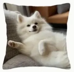 コロ助様 リクエスト 4点 まとめ商品