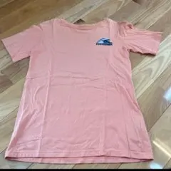 patagonia Tシャツ 　Lサイズのサムネイル
