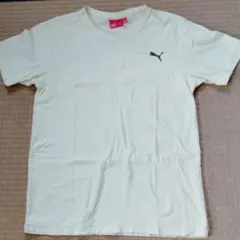 PUMA Tシャツ（Lサイズ）