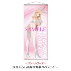 その着せ替え人形は恋をする 等身大 タペストリー 海夢