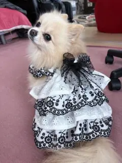 ぱん様専用犬服ハンドメイドワンピース