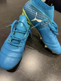 Puma ONE サッカーシューズ 青　FG 25cm