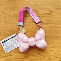 本日限定☆ 東京ディズニーランド ミニー パルパルーザ ミニスナックケース