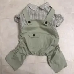 Item thumbnail for item 8f3fba0c-00af-41fb-b3ac-00bd90f7ae93