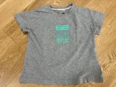 フルーツオブザルーム　Tシャツのサムネイル