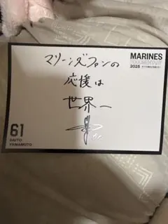 千葉ロッテマリーンズ　山本大斗　ポストカード