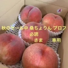 山梨の木のてっぺん桃　超特大を5個詰めて発送　人気商品のサムネイル