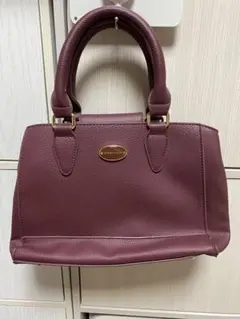 【美品】passagemignon ハンドバッグ　ショルダー　パサージュミニョン