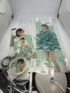 Item thumbnail for item 68be9671-af25-4e2d-84b4-a781f0d3563e