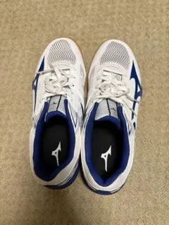 81GA202027275 ミズノ 卓球シューズ ウエーブカイザーブルク6