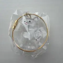 わんこのタイムカプセル