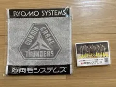 群馬クレインサンダーズ　ハンドタオル＆ティッシュのセット