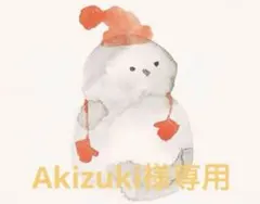 A*i様 専用ページ