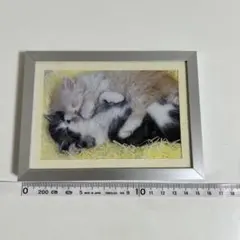 Item thumbnail for item 2ea8454f-74fe-4c83-856d-0ce4d9579118