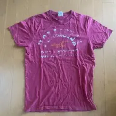 Hollister Tシャツ Sサイズ