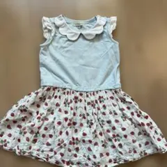 panpantutuワンピース100