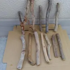 Item thumbnail for item 7a43668e-5ff3-4c09-a030-bd02a9aef4e7