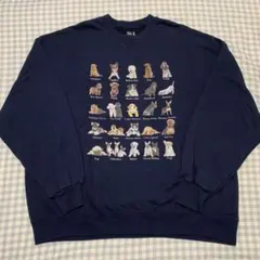 FRUIT OF THE LOOM　フルーツオブザルーム　トレーナー　スウェット