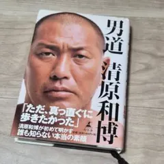 男道