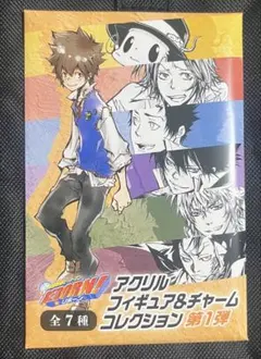 家庭教師ヒットマンREBORN アクリルフィギュア＆チャーム コレクション