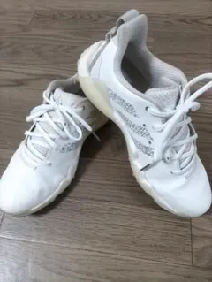 Item thumbnail for item 809e4513-541e-4520-aed6-3c3b6be49f63