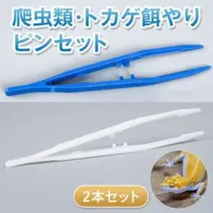 ピンセット2本 爬虫類 両生類のサムネイル