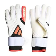 Item thumbnail for item e3ad5cd4-d18e-4e7b-b8de-0d10bec9c522