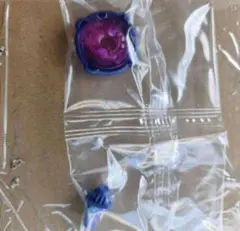 シャークスケイル4-50UF ラチェット　アンダーフラットビット