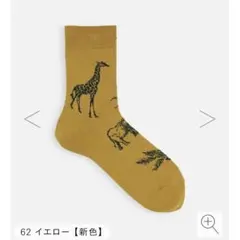 新品Tabioサファリ柄ソックスプレゼント用のサムネイル