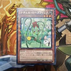 ナチュル　ローズ　ウィップ　傷あり　3枚セット ローズウィップ」の激安通販 | magi
