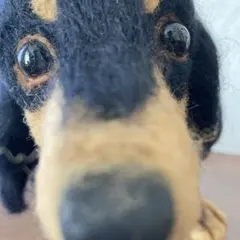 羊毛フェルト　ミニチュアダックス　ブラックタン