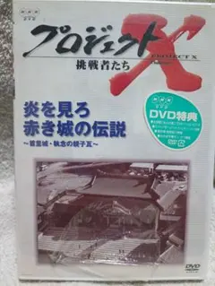 新品未開封 プロジェクトX DVD 赤き城の伝説