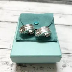 フープ ピアス(両耳用)