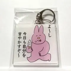 うさぎ　今日もいい1日だった！低空飛行うさぎと仲間たち　アクリルキーホルダー
