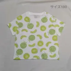 半そで ワイドTシャツ キッズ（サイズ100）ハンドメイド メロン柄