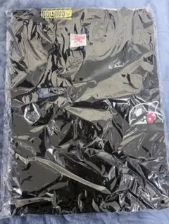 新品未開封未使用】当時品 仮面ライダー響鬼 公式Tシャツ ヒビキ着用