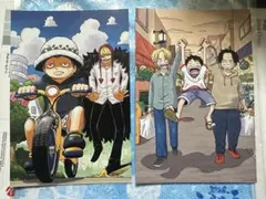 ONE PIECE学園 思い出ポストカード 最強ジャンプ 付録