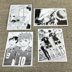 ハイキュー 10th クロニクル 思い出スナップフォトカード 烏野 日向 影山