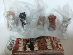 【新品未開封】合掌 匠 犬拝 全5種 フルコンプリートセット