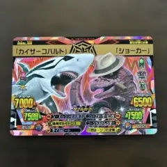 アダムん！様 リクエスト 2点 まとめ商品