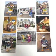 ドナルドメイン 写真9枚セット