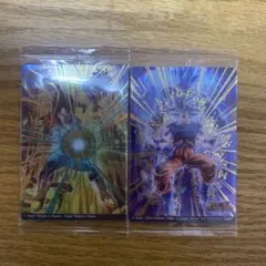 イタジャガvol.9 SEC2枚