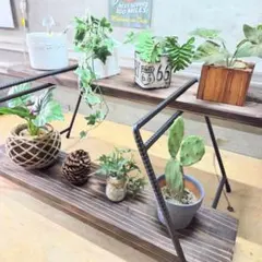 2026年最新】植物棚 アイアンの人気アイテム - メルカリ