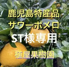 （鹿児島特産品）ST様専用 サワーポメロ　箱満杯詰　いちき串木野市産