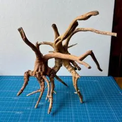 2025年最新】ブランチ 流木の人気アイテム - メルカリ