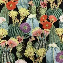 Item thumbnail for item de18602b-65b1-45d2-b72d-96f6c293313c