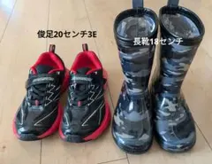 Item thumbnail for item 1e448c77-9124-467b-b07f-378278f898d1