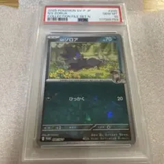 2025年最新】n ゾロア プロモの人気アイテム - メルカリ