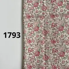 リバティタナローン 1793 フェリシテ　プティ　50×25