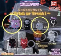 めじるしアクセサリー シーズンコレクション